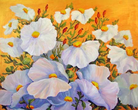 Matilija Poppies